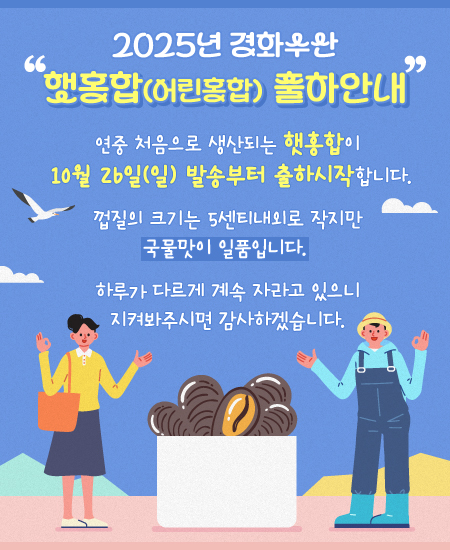 2025년 경화수산 햇홍합(어린홍합) 출하안내
